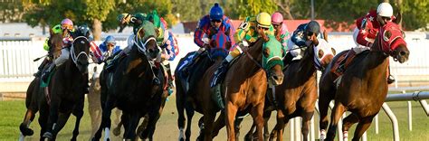 Hawthorn Racecourse opened in 1891 and is the oldest continuously-run, family-owned racetrack in North America. . Hawthorne race course schedule 2023